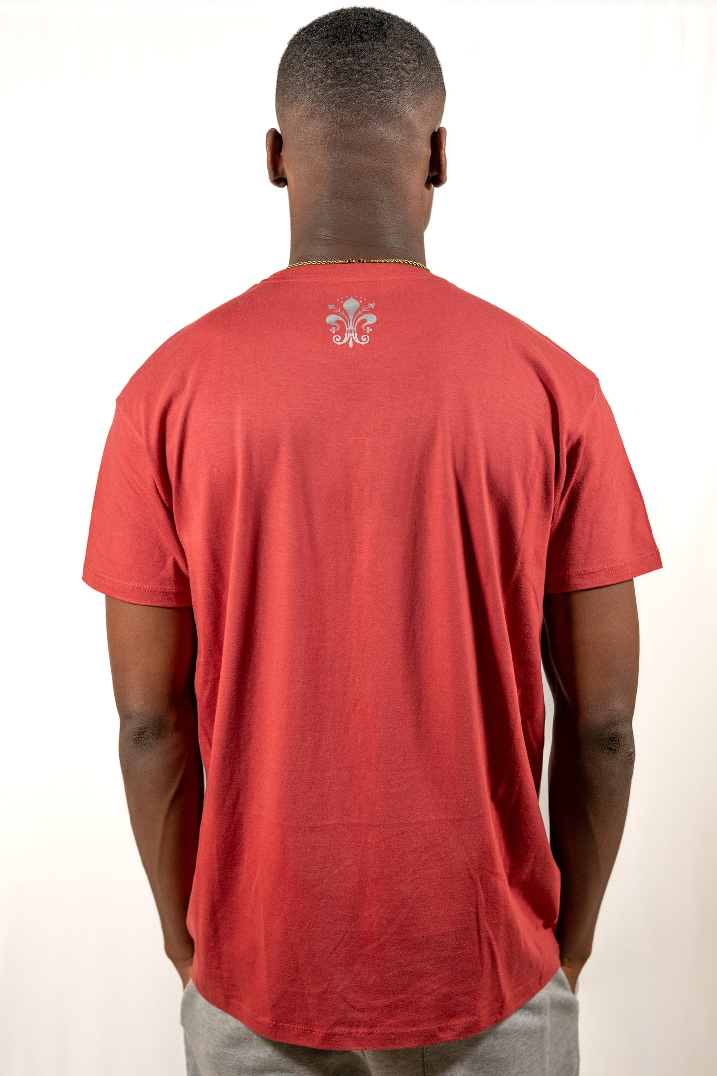 Metallic Logo Tee in Red or Blue